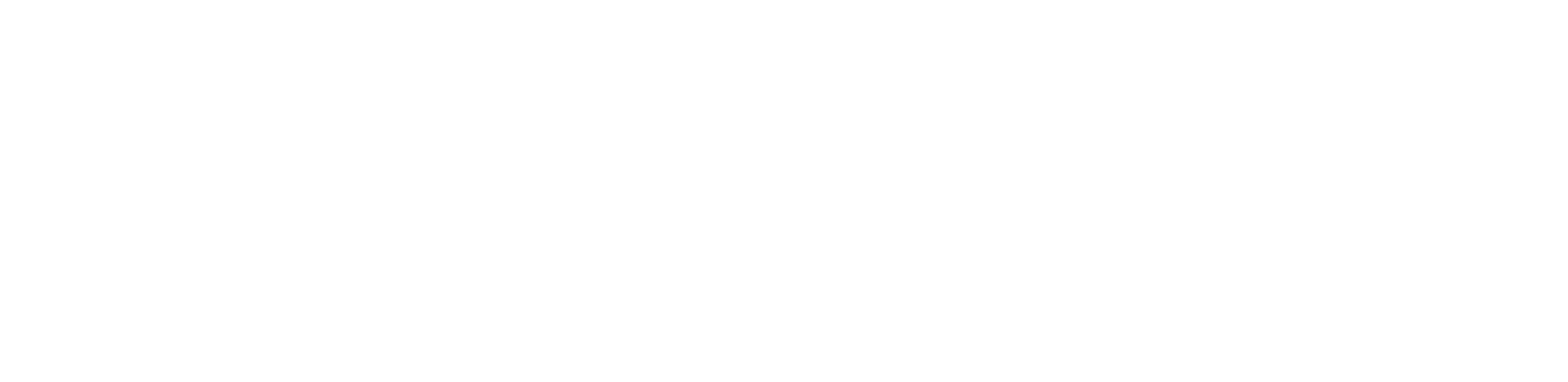 Amvox